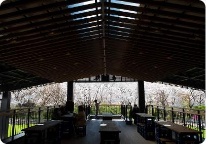 旭陵高等学校　関西支部　春のハイキング